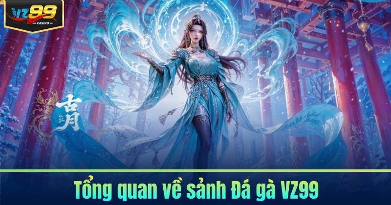 Đá gà VZ99 – Sảnh Chọi Kê Trực Tiếp Đỉnh Cao Đá gà VZ99 – Sảnh Chọi Kê Trực Tiếp Đỉnh Cao